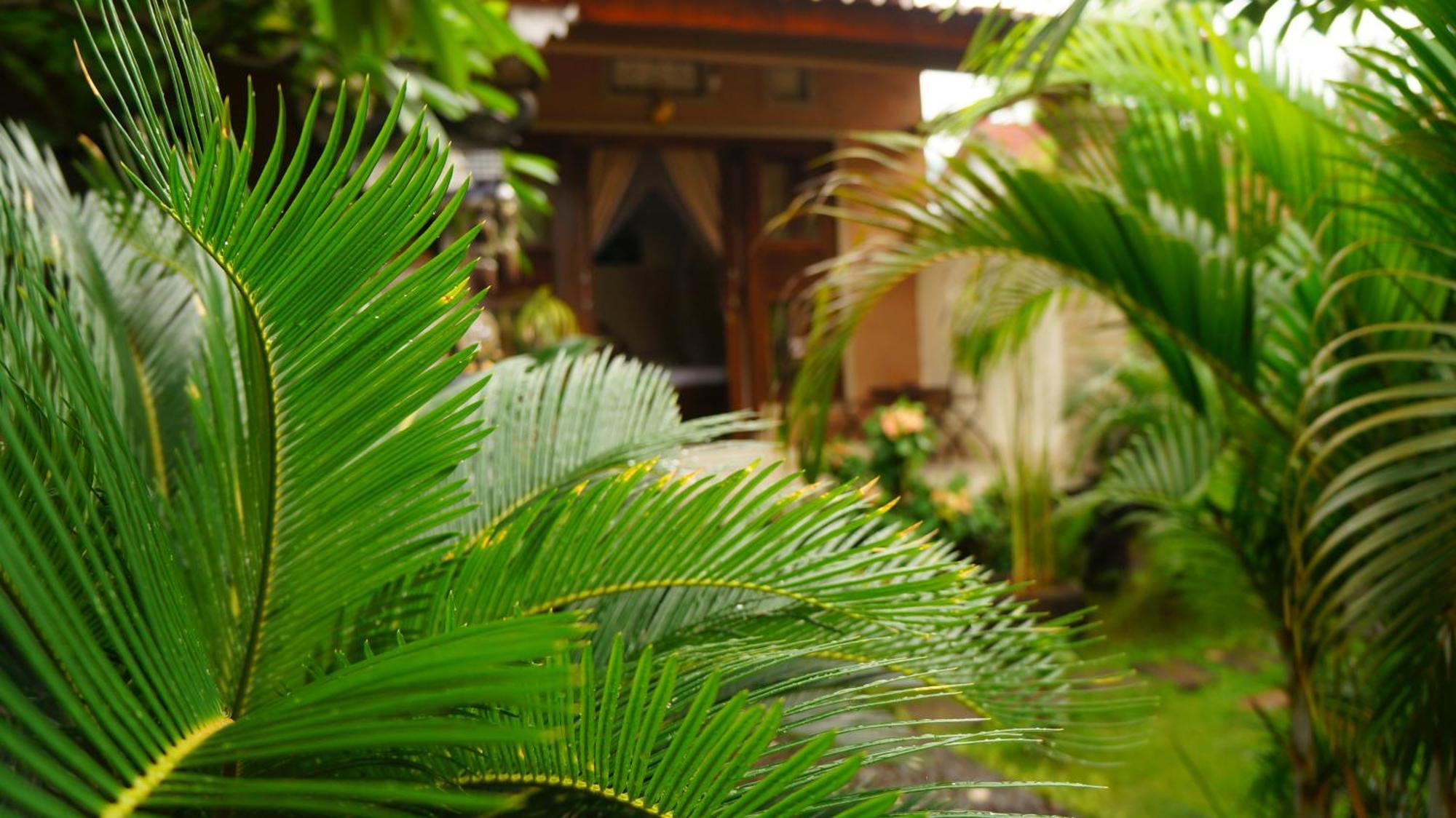Rumahku Homestay Αμέντ Εξωτερικό φωτογραφία